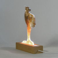 Uccello